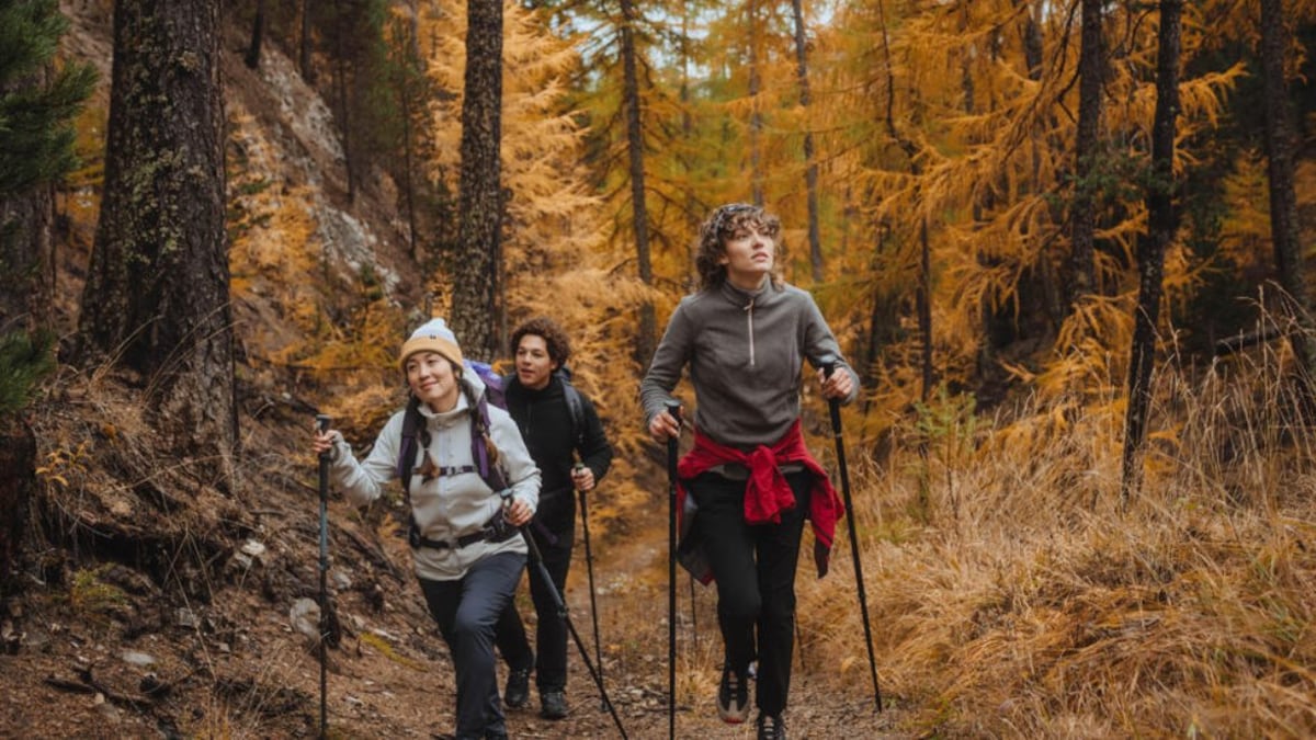 Senderismo, naturaleza y el equipo que necesitas_ Empieza tu vida activa