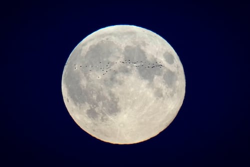 Conozca los mejores rituales para atraer amor y abundancia durante la Superluna del 4 de diciembre