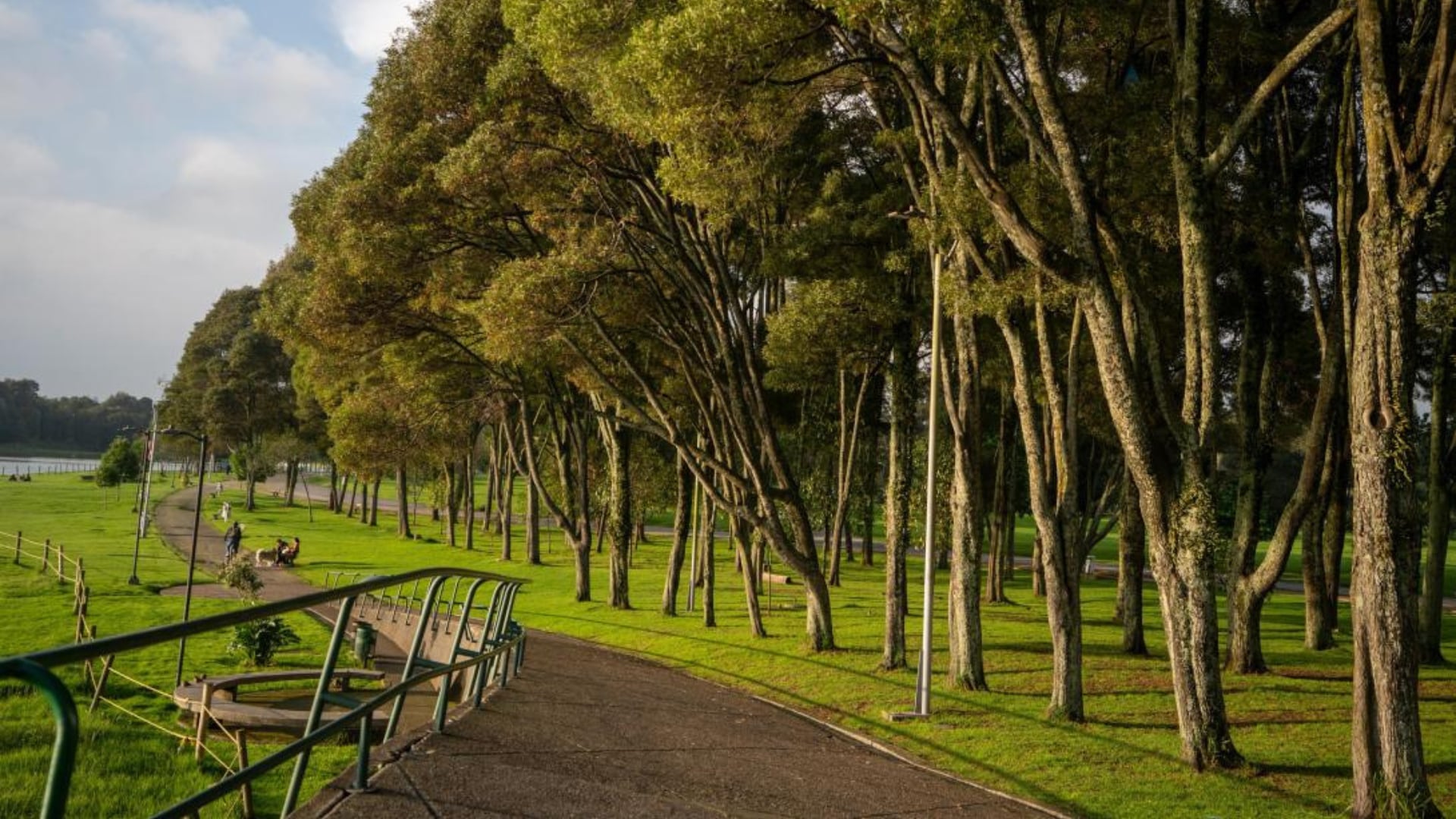 Bogotá logra un hito histórico: Parque Simón Bolívar, primer parque carbono neutro de Latinoamérica