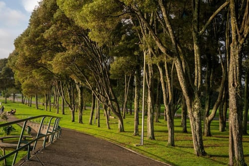 El corazón verde de Bogotá