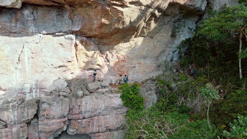 Foto mural en Chiribiquete.
