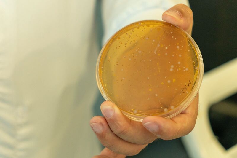 Laboratorio de Alpina