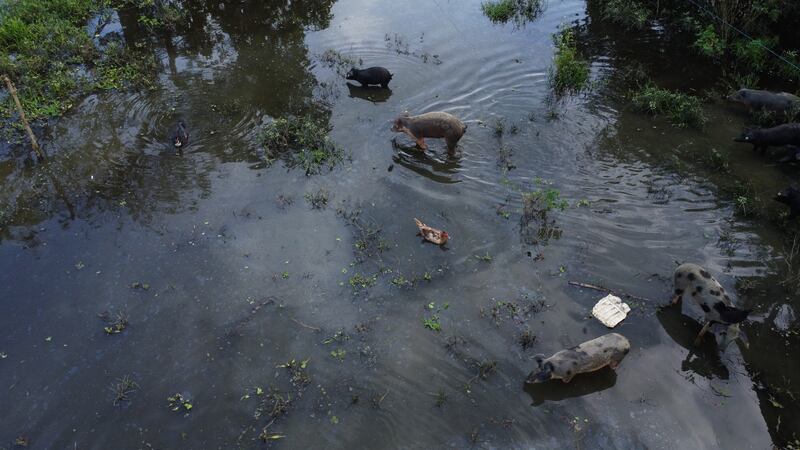Ciénaga de Ayapel, en Córdoba, zona que hace parte del sistema hídrico de La Mojana, al norte de Colombia.