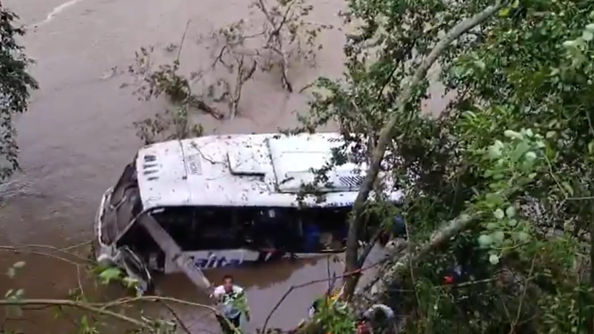 Bus se salió de la vía y cayó al río Magdalena.