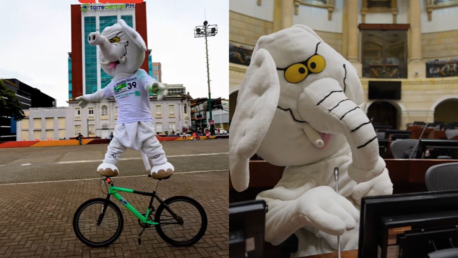 Elefante Blanco propuestas