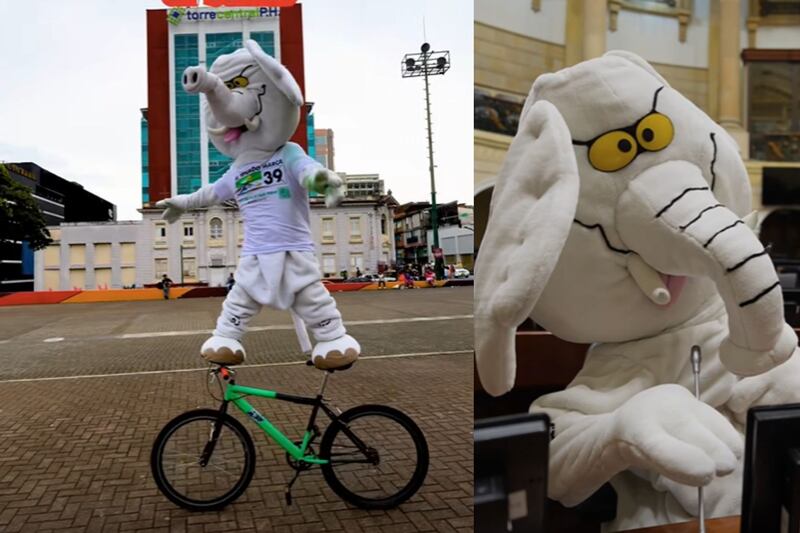 Esto propone el ‘Elefante Blanco’, el misterioso candidato del Partido Verde que resultó electo en estas votaciones