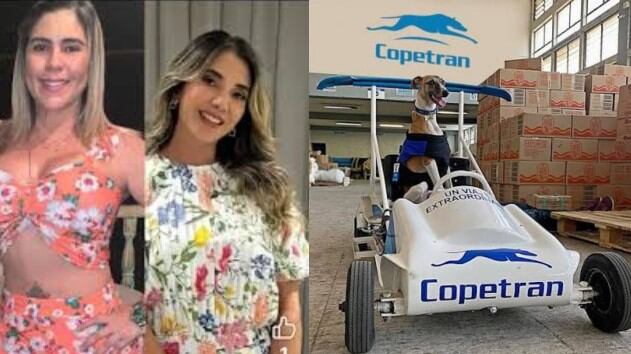 Foto empresa de transporte responde a polémico audio de Betsy Liliana, expareja de Diomedes Díaz, sobre choque entre su hija Lily Díaz y Dayana Jaimes.