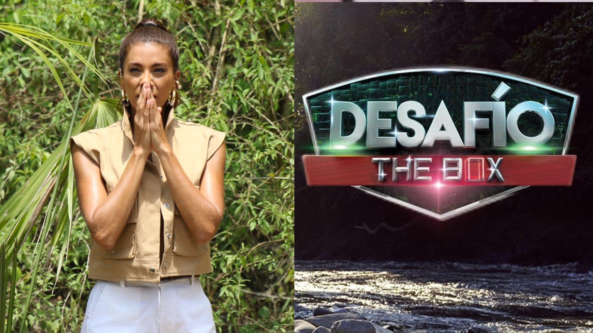 Ella habría sido la presentadora mejor pagada dentro del 'Desafío'