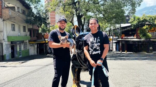 Marca Balbony arrasa en Estados Unidos