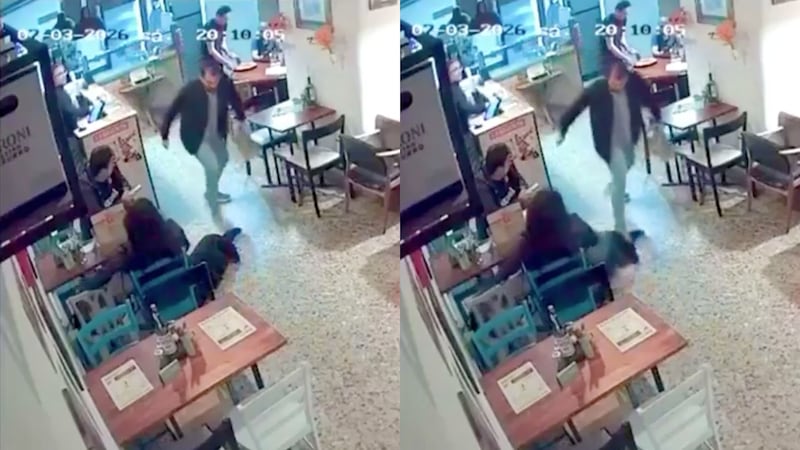Video: señalan a supuesto profesor universitario de pisarle la cola a una perrita en cafetería de Chapinero
