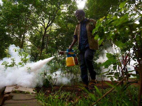 Alerta en India por nuevo virus mortal: Gobierno tomó medidas para evitar la propagación