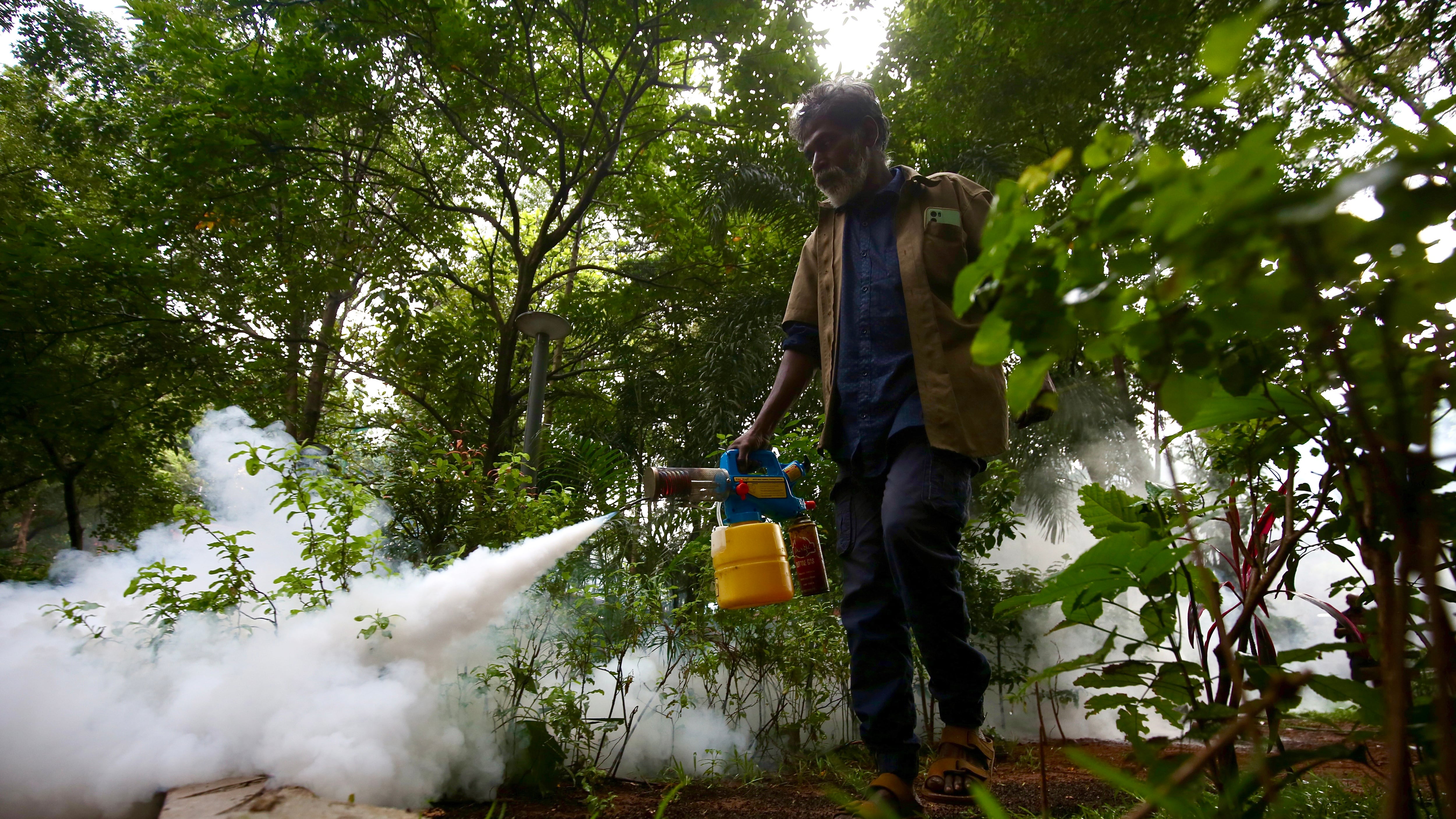 Este es el virus mortal que preocupa a India: Gobierno tomó medidas para evitar la propagación