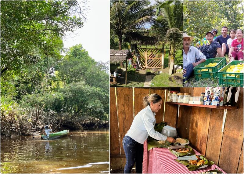 La sustitución de cultivos es posible y en La Fortuna es una realidad
