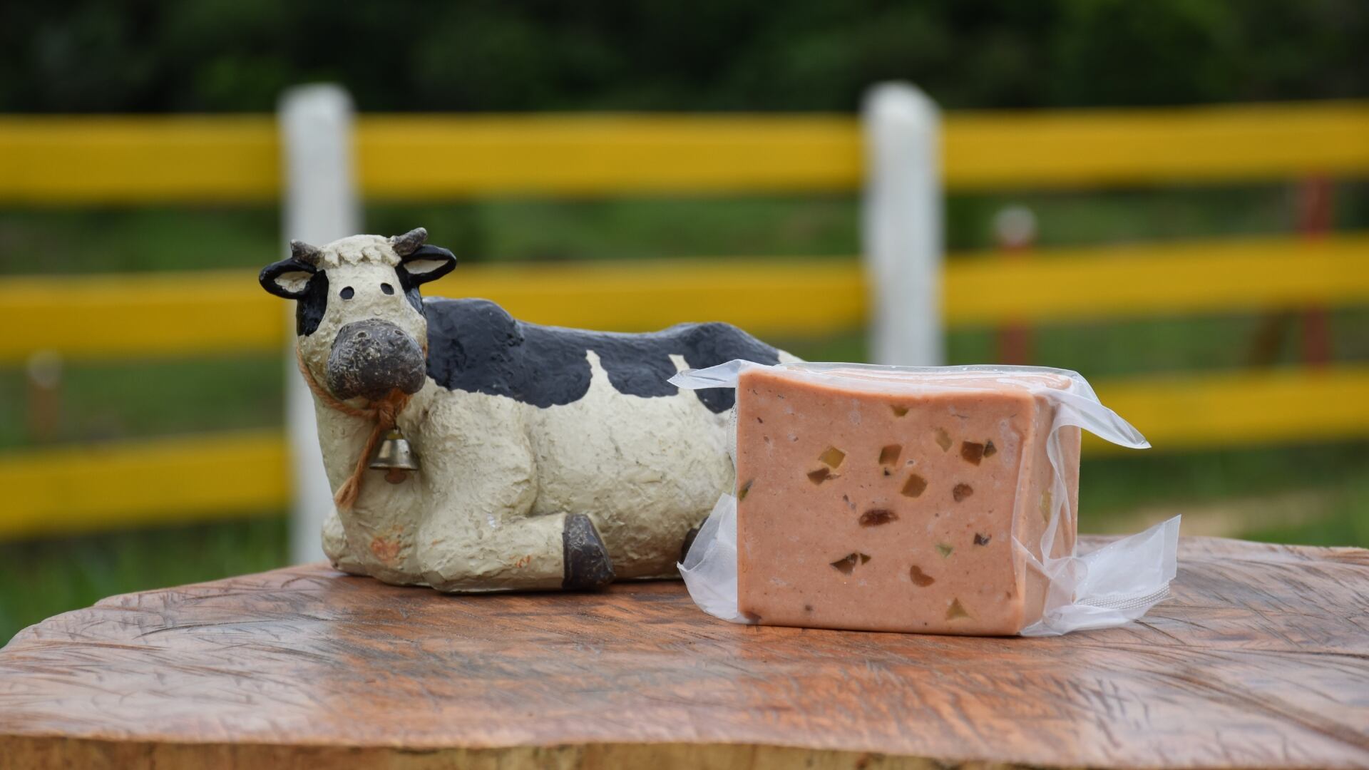 Quesos Caquetá (Nicolás Torrijos)