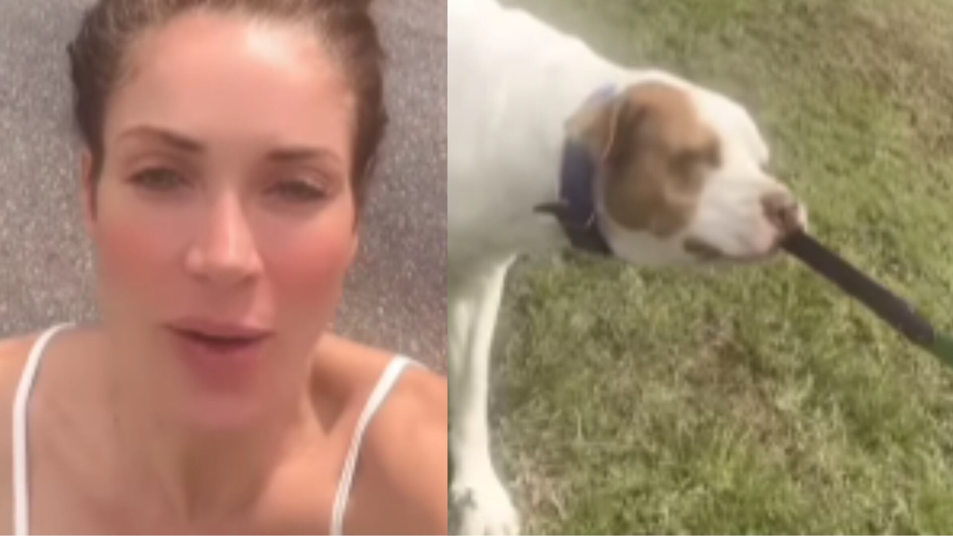 ¿Le olió a Melfi?: ‘Perrito’ de Nataly Umaña la dejó mal parada en redes