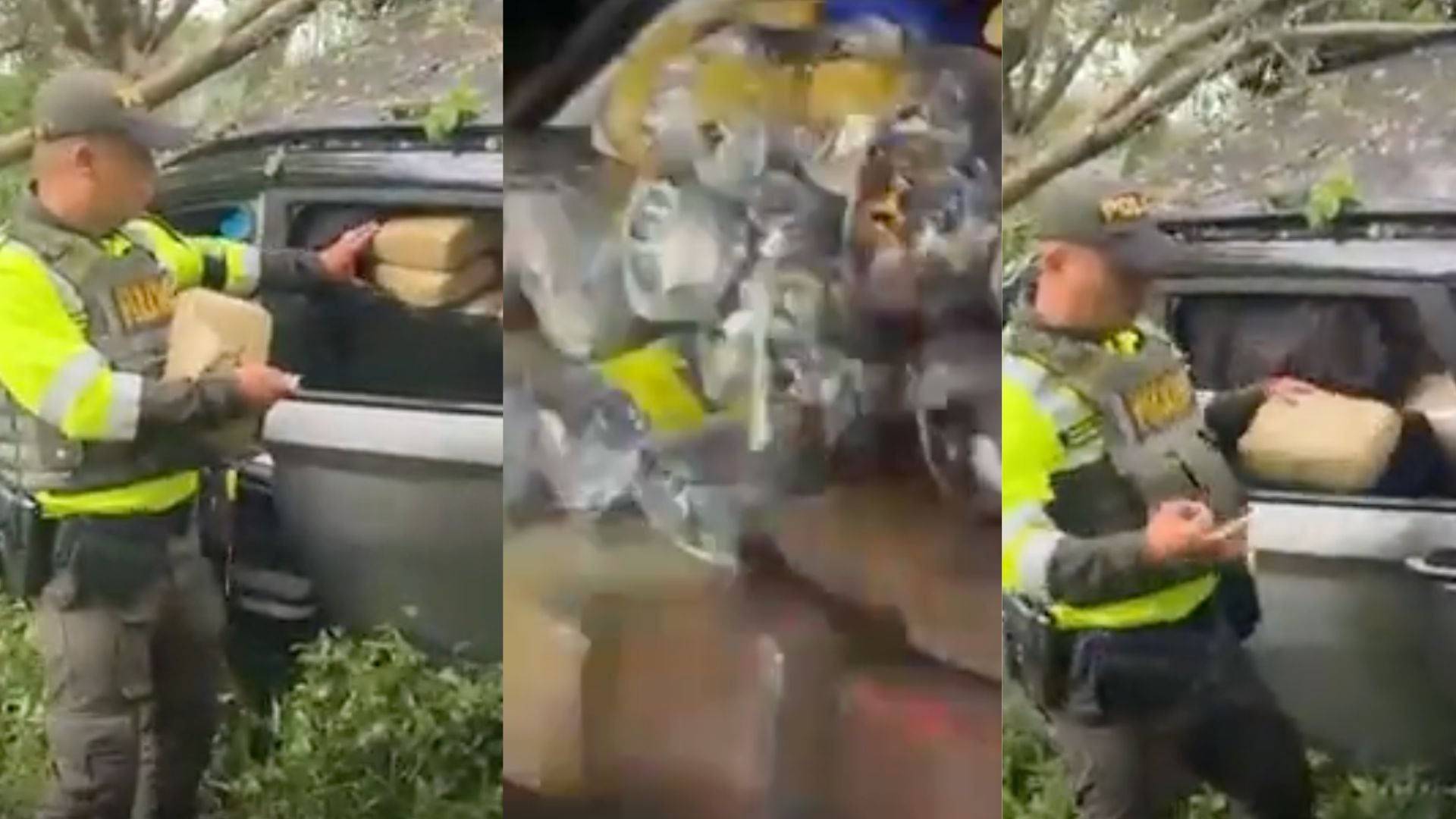 Archivo: Dirección de Tránsito y Transporte