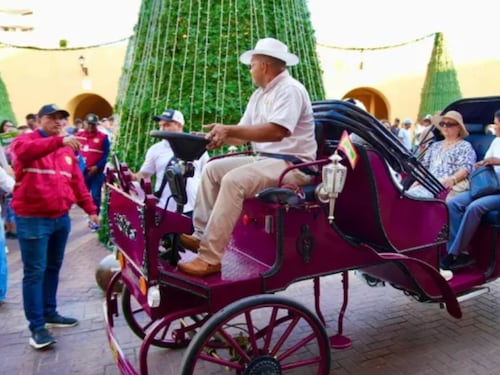 Dueños de coches en Cartagena piden hasta 100 millones de pesos por caballo para cambiarse a vehículos eléctricos: esto dice la alcaldía