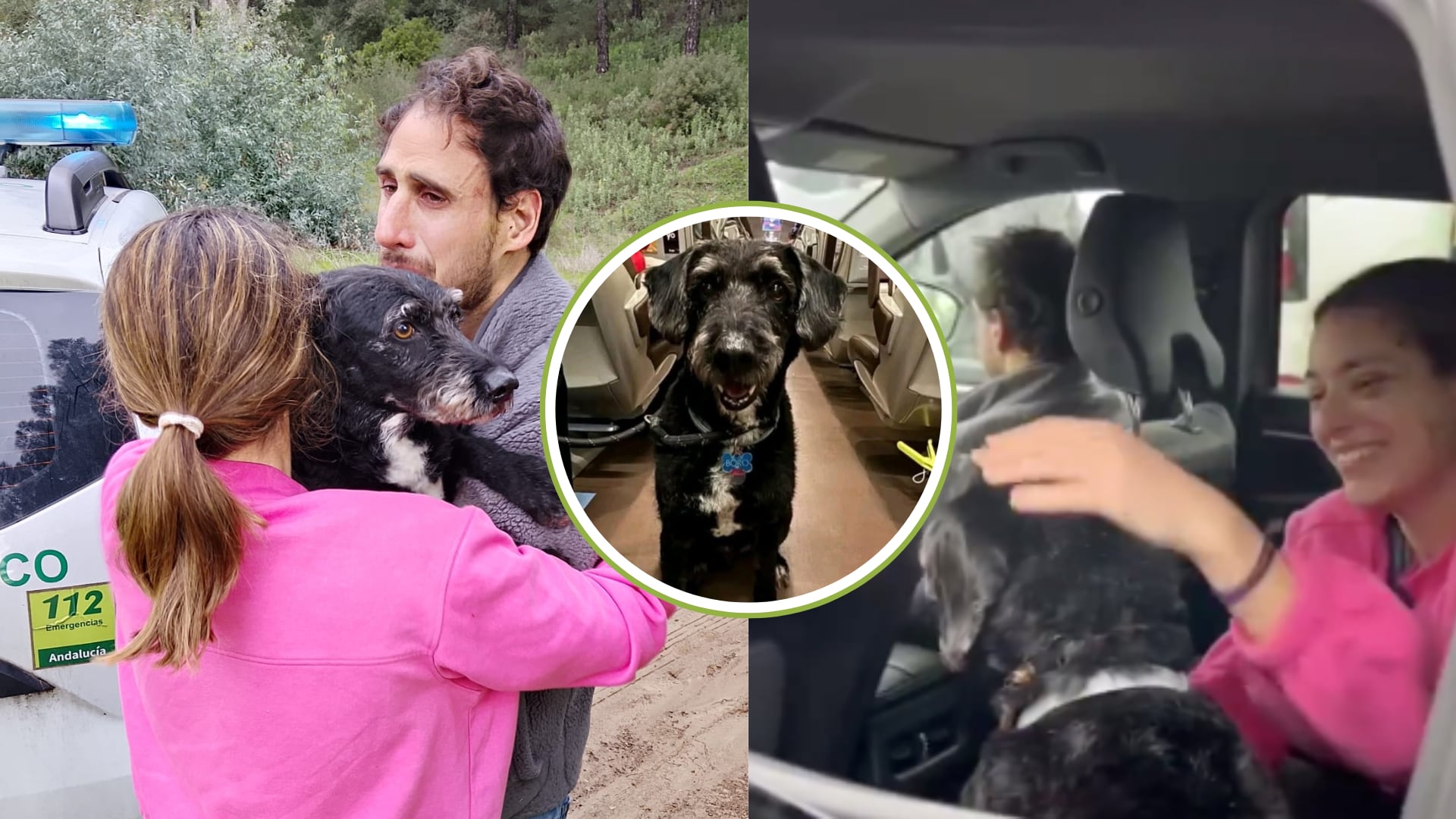 Encontraron a Boro, el perro desaparecido en medio de la tragedia en España: una luz de esperanza en medio de la emergencia
