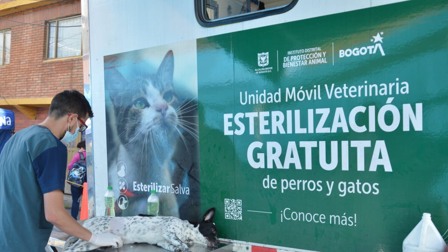 Esterilización animal en Bogotá septiembre 2023