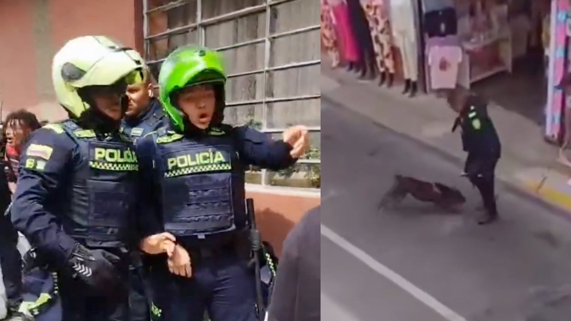 Policía que le disparó a un perro en Antioquia podría ir a prisión