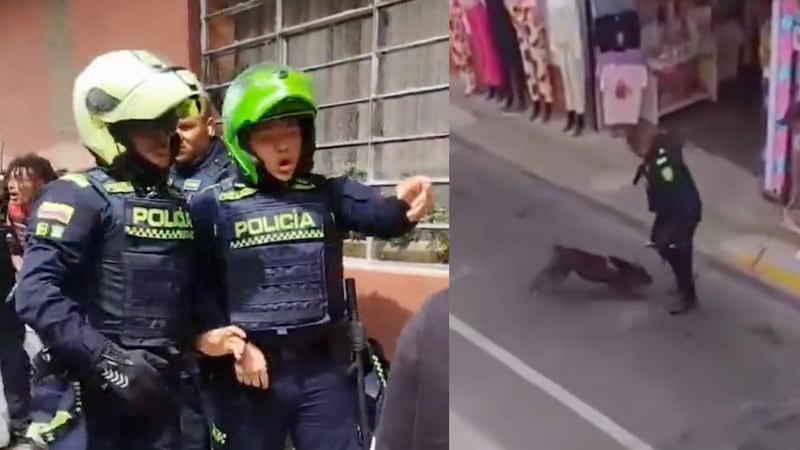 ¿Destitución inmediata? Policía que le disparó a un perro en Antioquia podría ir a prisión según la ley