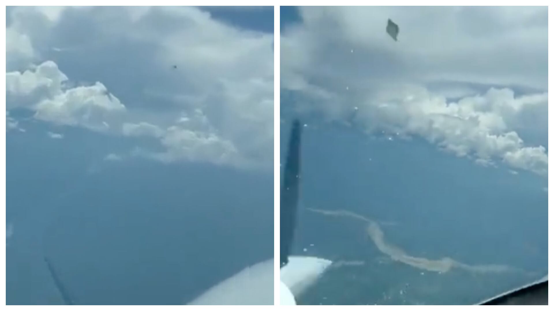 Captan ovni durante vuelo en aeronave
