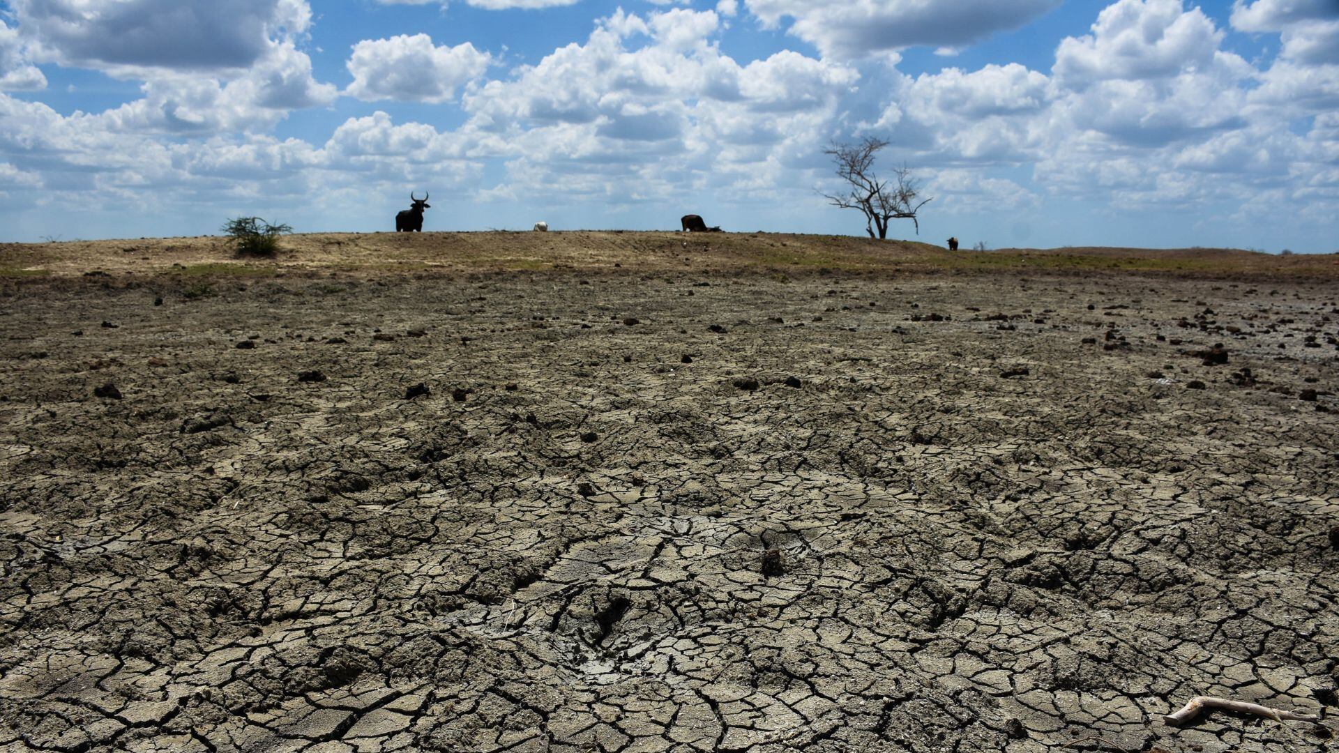 Los efectos destructivos de el niño en el planeta y en México