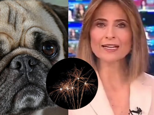 Malú Fernández de Noticias Caracol enfureció con quienes afectan a los animales con uso de la pólvora en diciembre