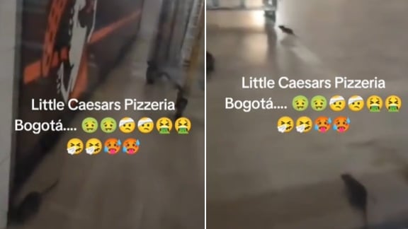 Ratas en el Little Caesars del sur de Bogotá
