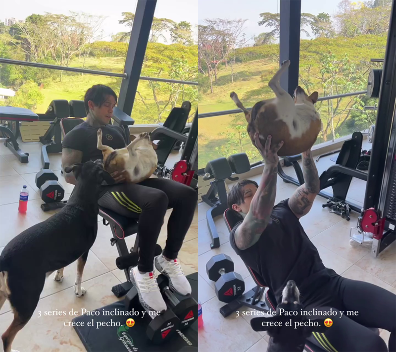 Yeferson Cossio usó a uno de sus perros como herramienta de entrenamiento