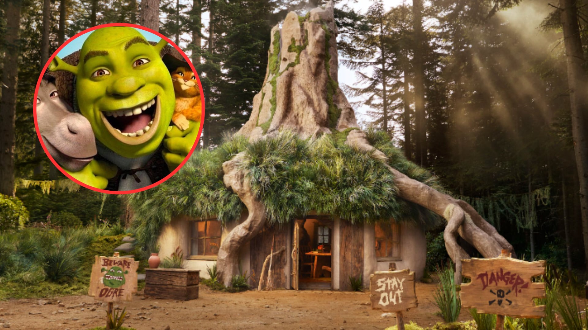 Airbnb cumplió el sueño de muchos y ahora sus usuarios podrán hospedarse en el pantano de Shrek