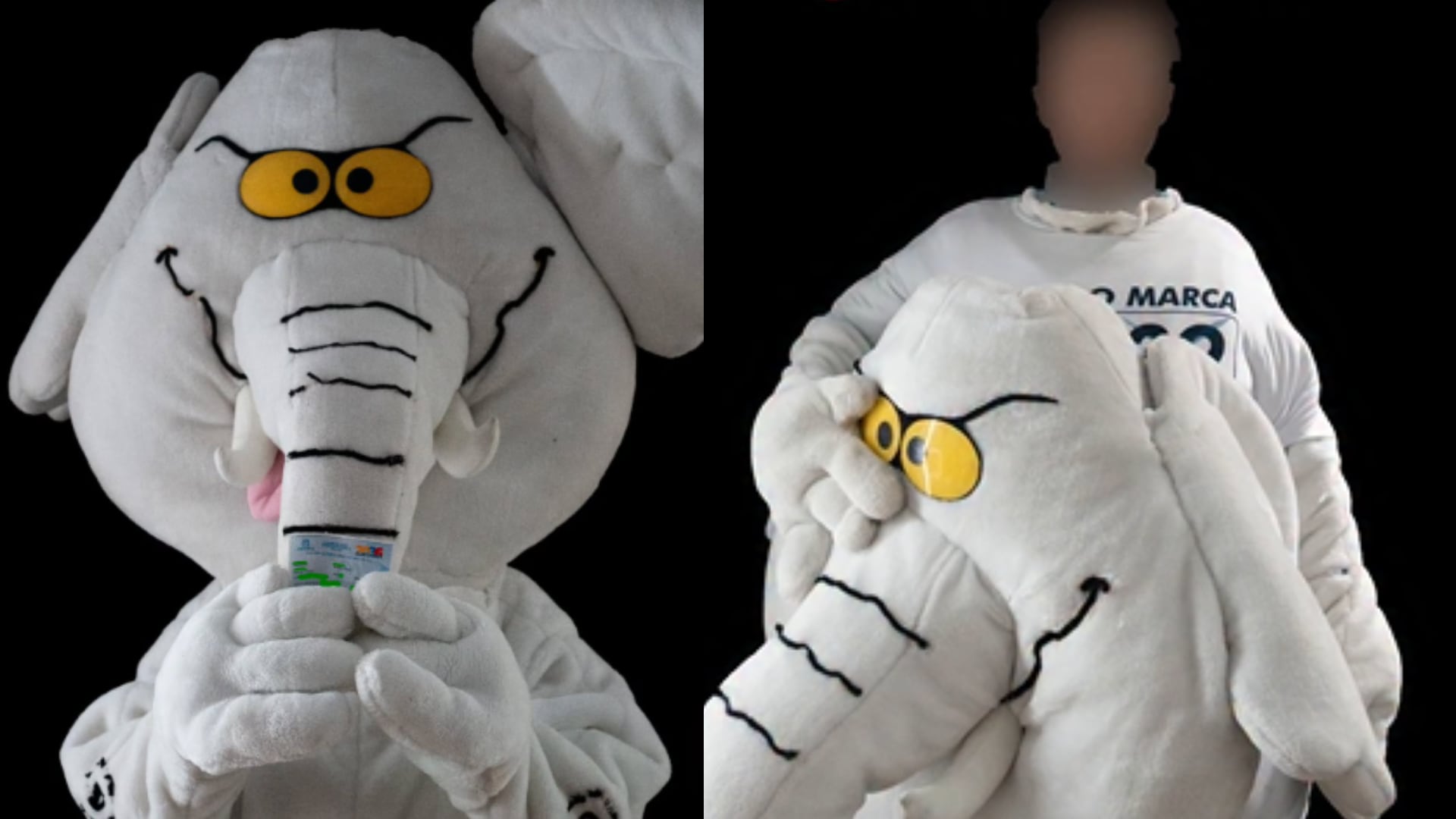 Elefante blanco reveló su rostro