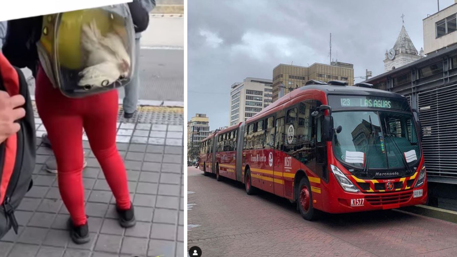 Mujer se volvió viral por llevar un pollo vivo de mascota en TransMilenio.