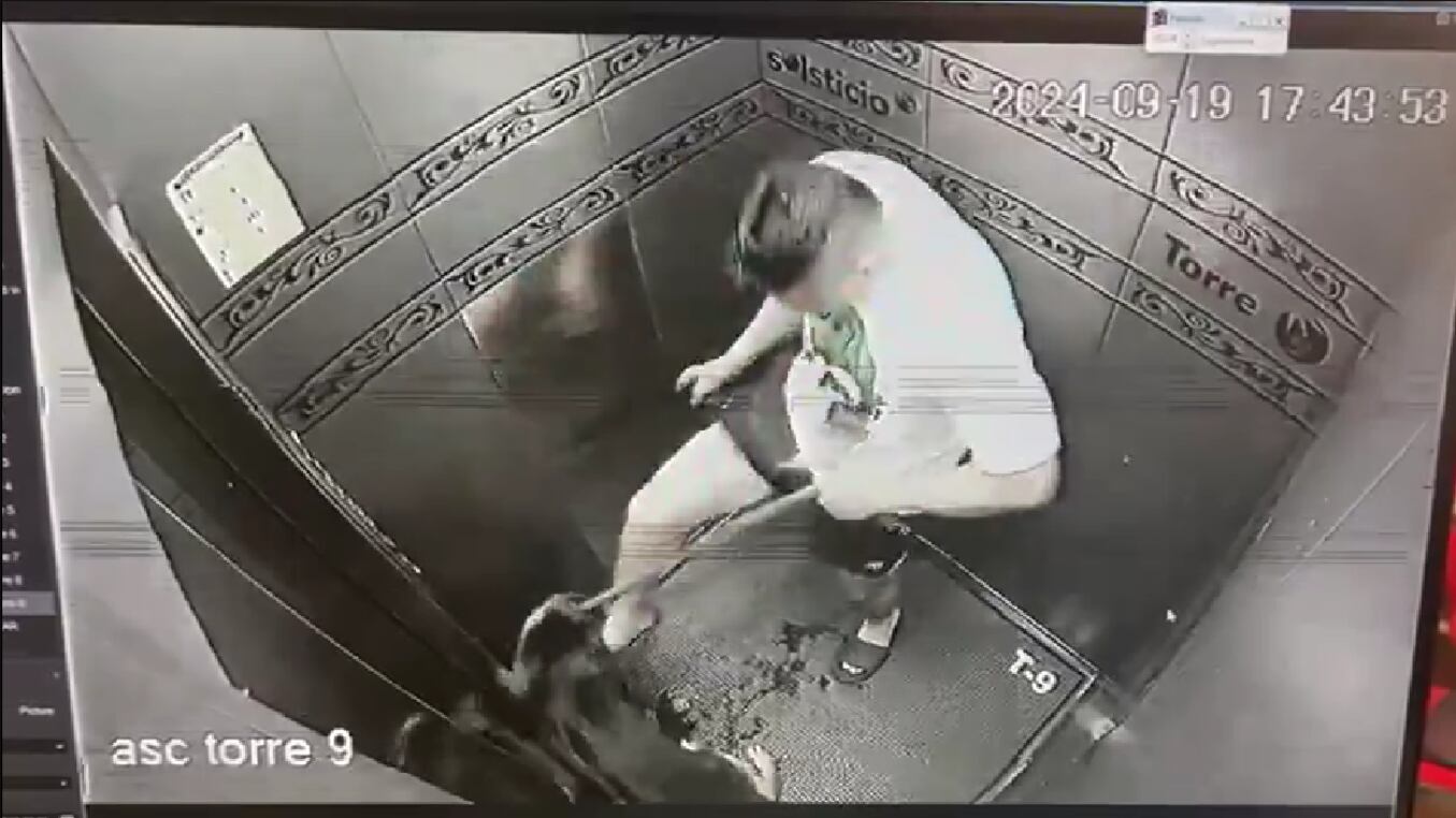 Hombre pateó a perrito en ascensor