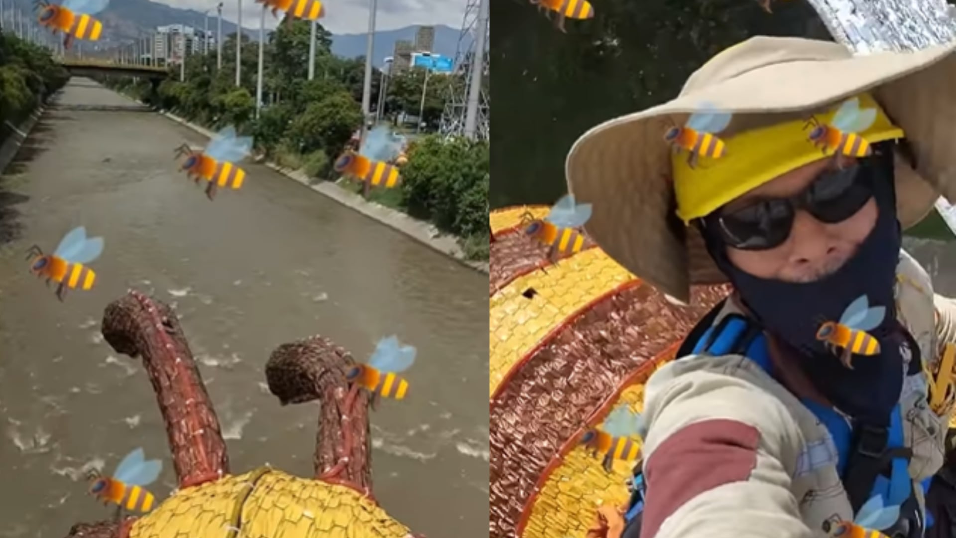 Abejas de los Alumbrados Navideños en Medellín