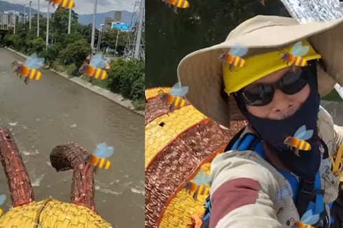 “Medellín supera la IA”: Dicen por video viral durante instalación de abeja en los Alumbrados Navideños