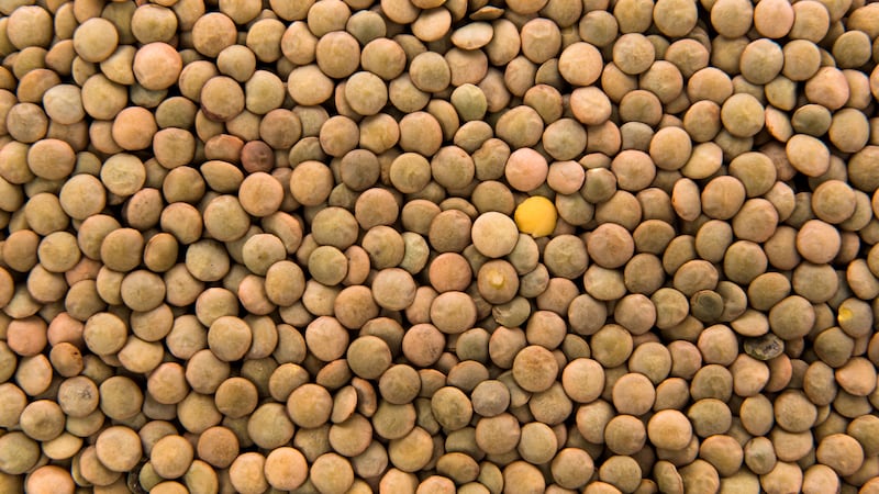 Beneficios de las lentejas para el organismo