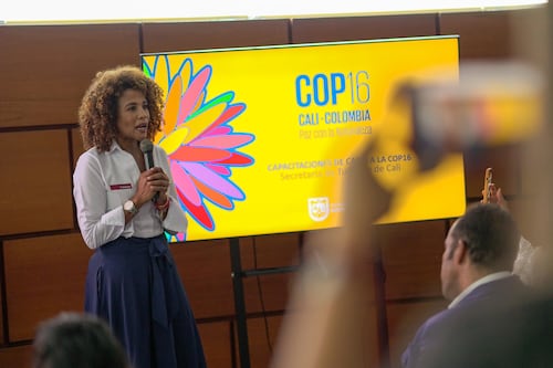 COP16 en Cali: Alcaldía lanza capacitaciones para sector turístico, taxistas y periodistas