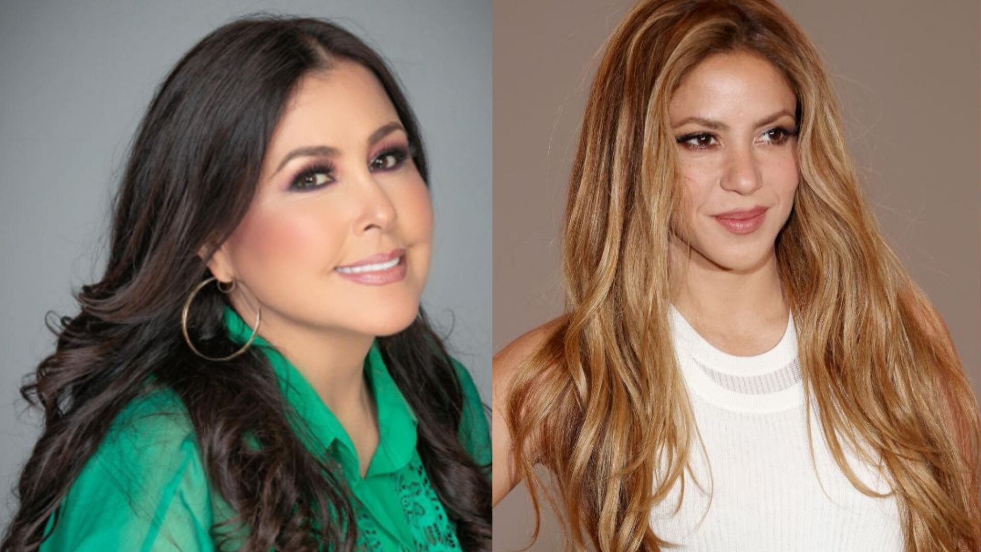 Arelys Henao lanzó a Shakira a la política