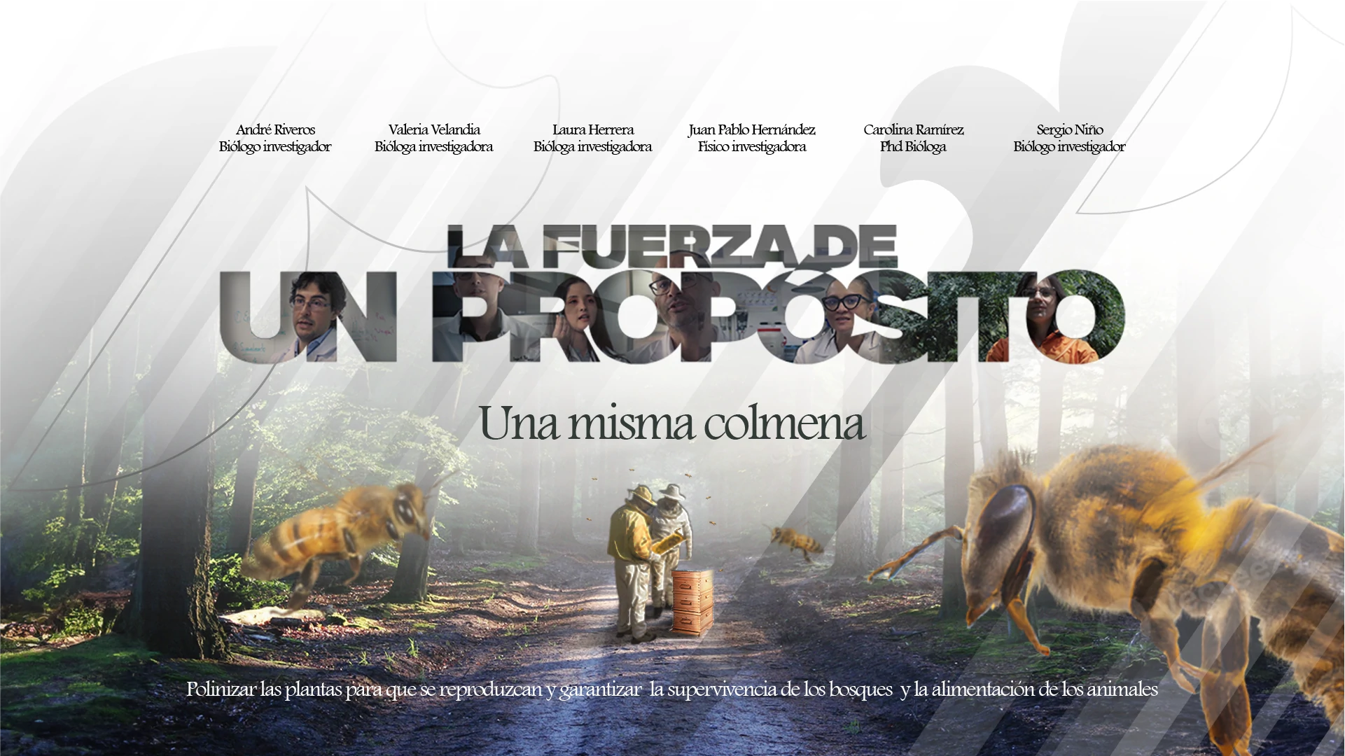 Un propósito que lo puede cambiar todo