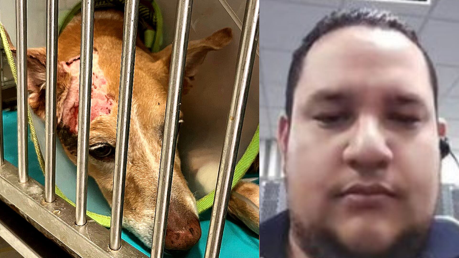 PriceSmart despidió al hombre que le disparó a su mascota: “no representa los valores ni la cultura de nuestra compañía”