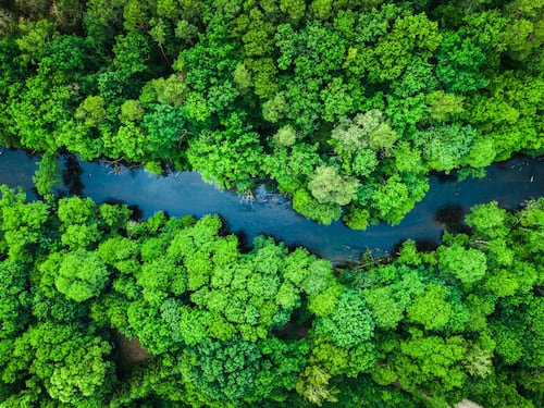 Reconocimiento Empresa Sostenible CECODES, para transformar al sector empresarial