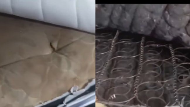 Foto colchón con insectos y materiales usados: denuncia por venta fraudulenta en Soledad genera indignación.