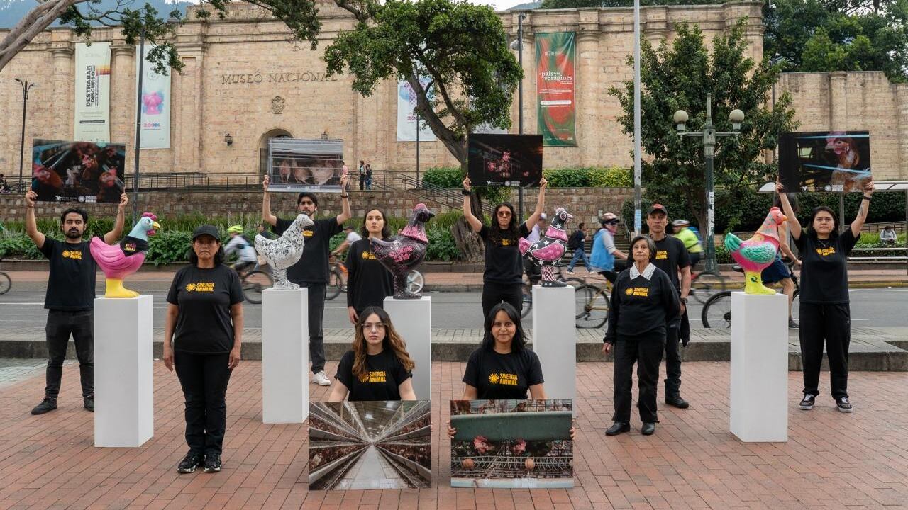 Cadenas de restaurantes bajo la lupa por no cumplir con compromisos de protección animal en Colombia.