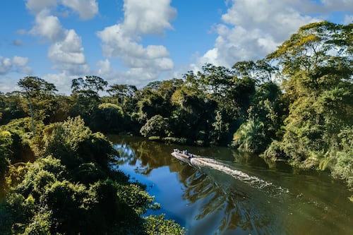 Manaus Brasil: el hogar de la selva amazónica que sí o sí debe conocer este 2026
