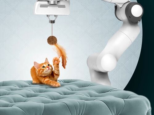 Así es el nuevo robot con inteligencia artificial desarrollado para cuidar y jugar con gatos