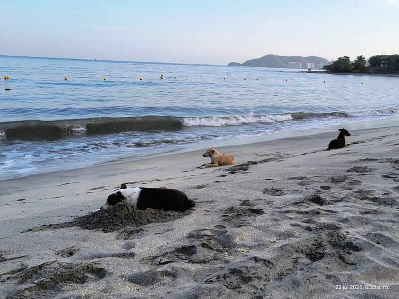 Los reyes del mundo en Playa Dormida