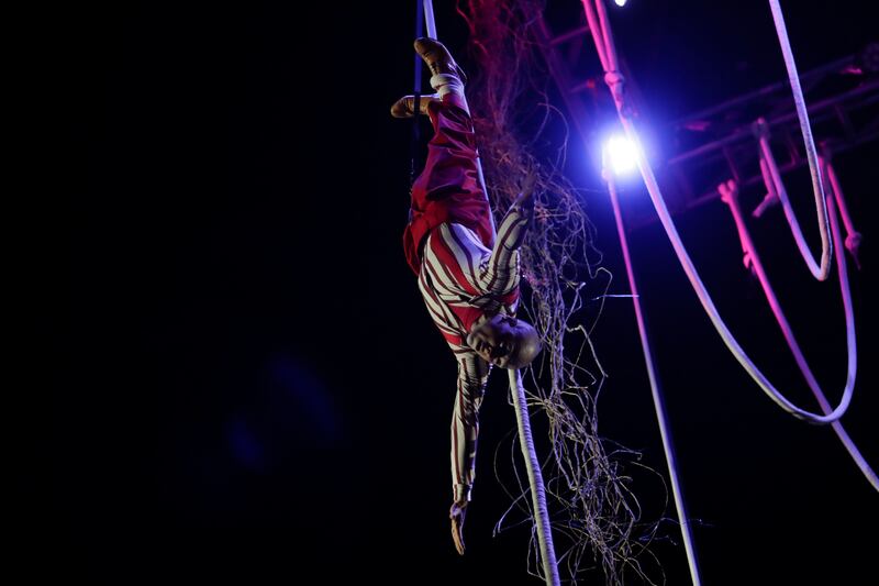 'El Árbol de la Abundancia', la obra de teatro con la que Bogotá celebra la navidad.