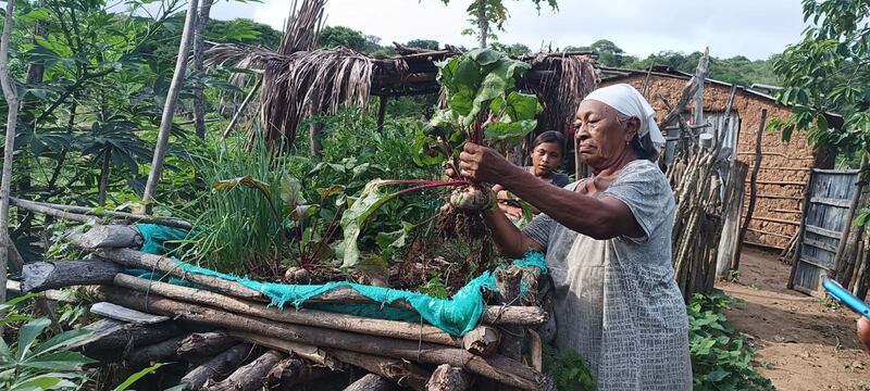Foto comunidades indígenas wayuu protegen la Macuira y aseguran agua en uno de los desiertos más secos de Colombia.