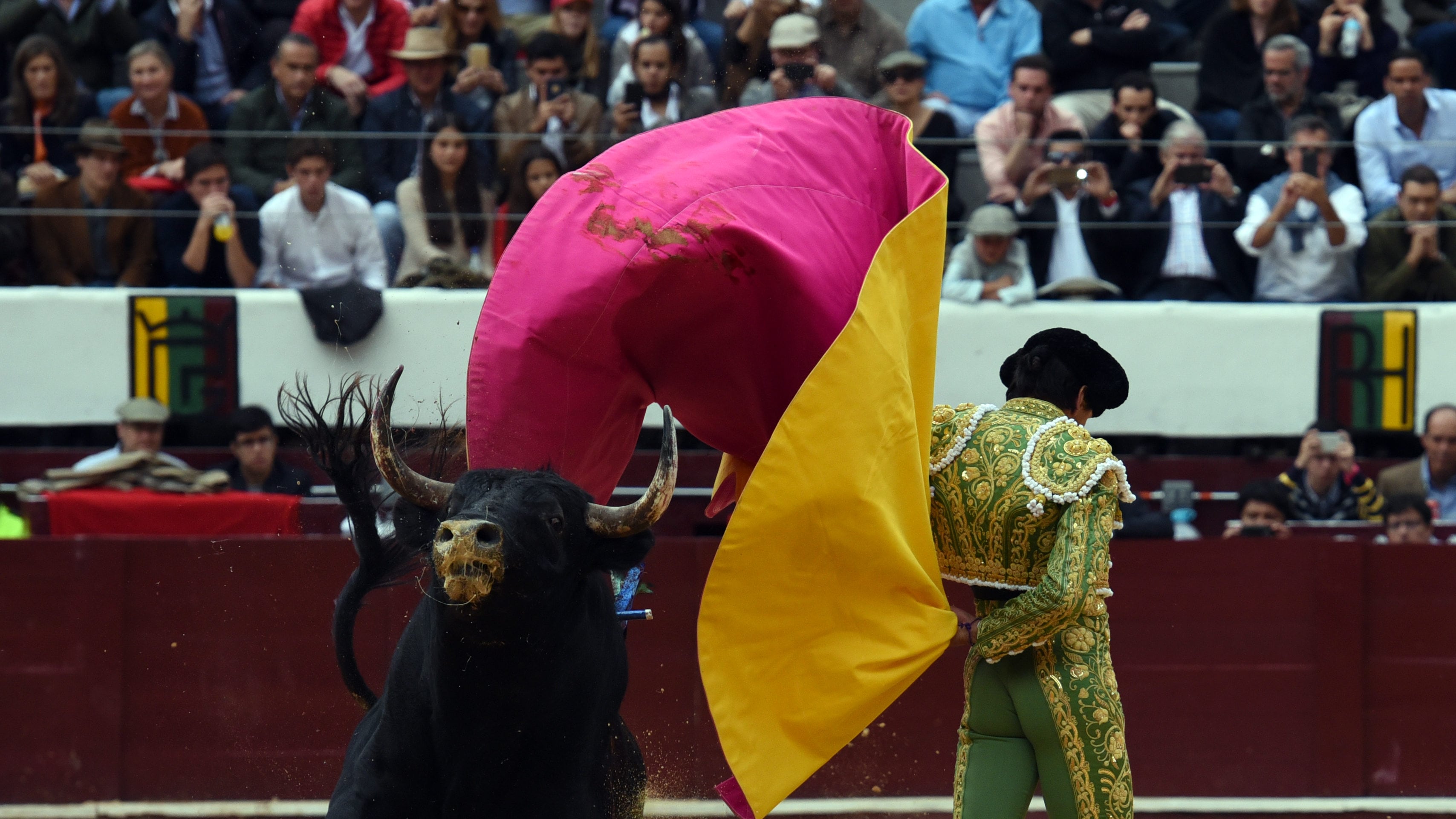 proyecto de ley para eliminar las corridas de toros